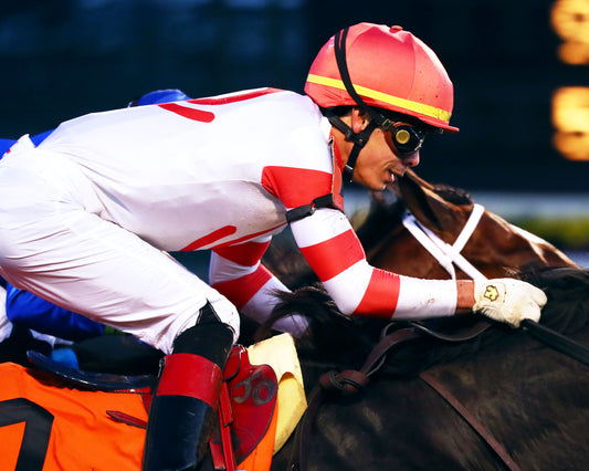 GIOCOSO - 112225 - Race 10 - CD - Finish 03