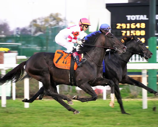 GIOCOSO - 112225 - Race 10 - CD - First Pass 01