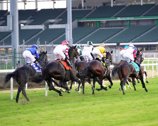 GIOCOSO - 112225 - Race 10 - CD - First Pass 02