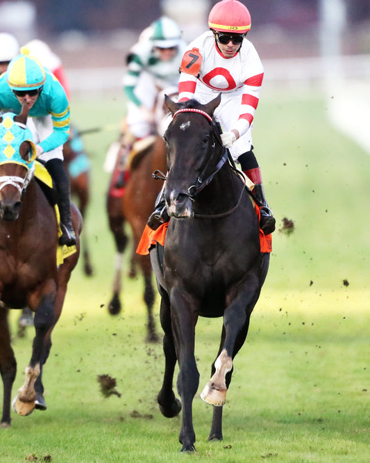 GIOCOSO - 112225 - Race 10 - CD - Gallop Out 01