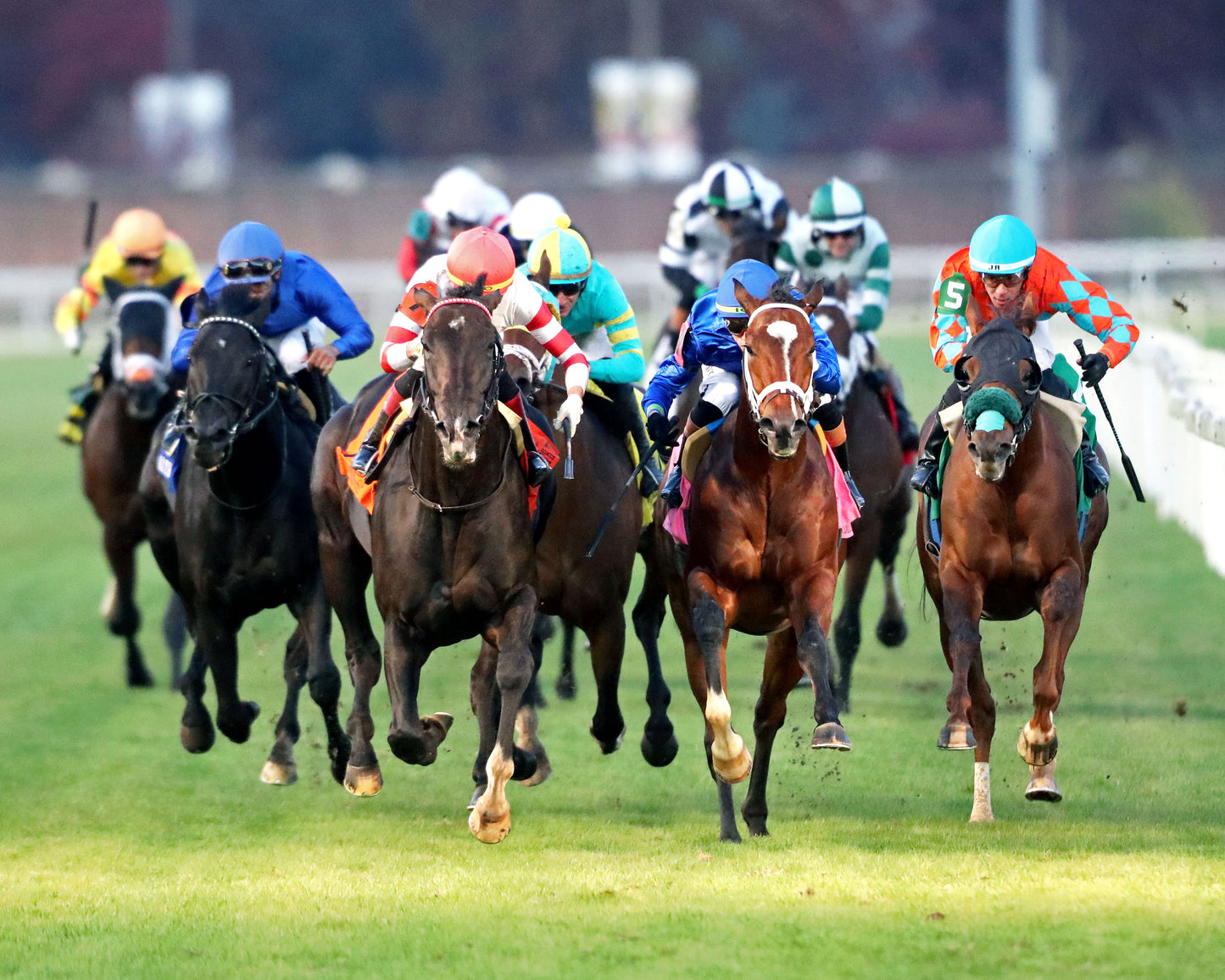 GIOCOSO - 112225 - Race 10 - CD - Head On 01