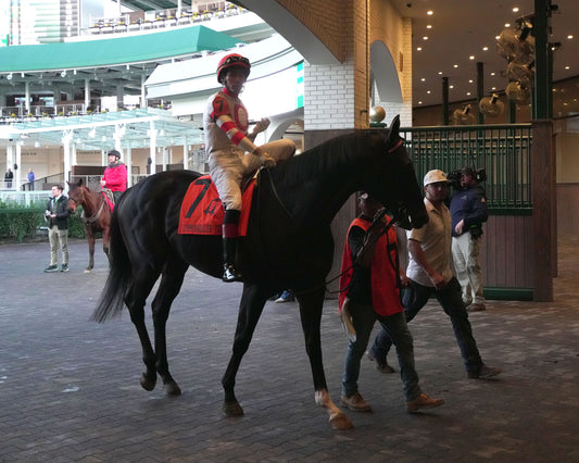 GIOCOSO - 112225 - Race 10 - CD - Paddock 01