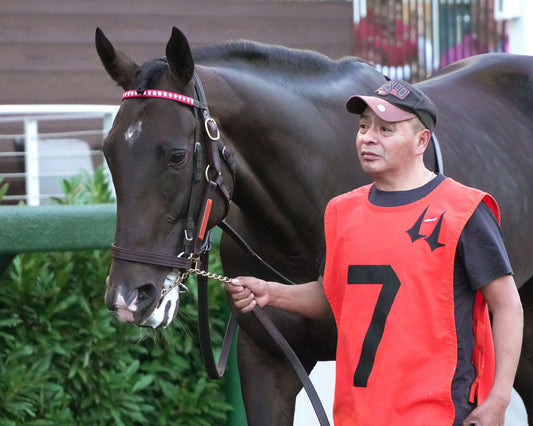 GIOCOSO - 112225 - Race 10 - CD - Paddock 02