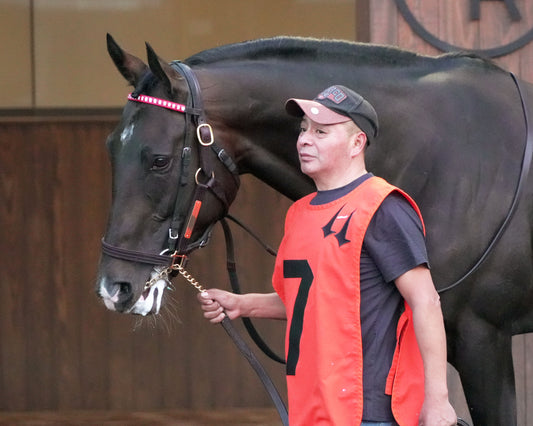 GIOCOSO - 112225 - Race 10 - CD - Paddock 03