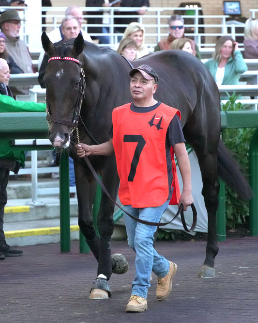 GIOCOSO - 112225 - Race 10 - CD - Paddock 04