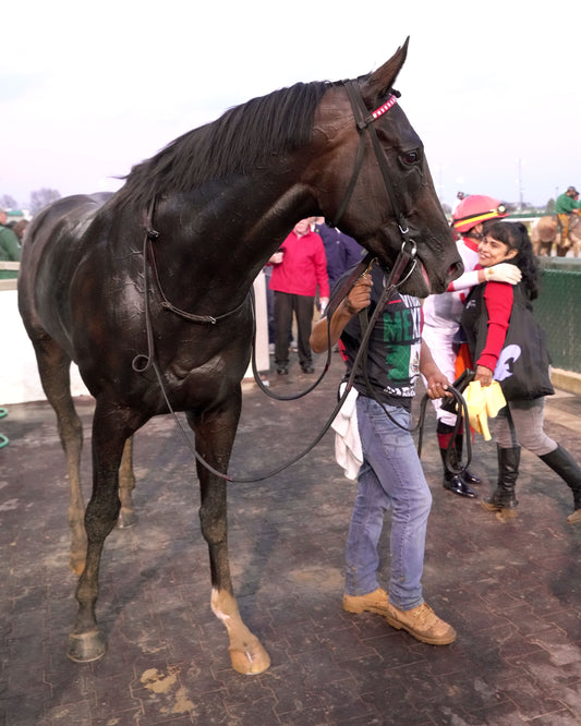 GIOCOSO - 112225 - Race 10 - CD - Post Race 02