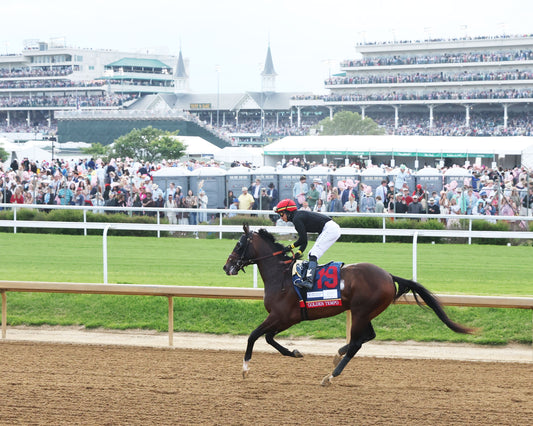 GOLDEN TEMPO - 050226 - Race 12 - CD  The Kentucky Derby G1 - 152nd Running - Post Parade 03 - Coady Media - Kurtis Coady Photography