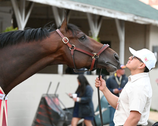GOLDEN TEMPO - 050226 - Race 12 - CD  The Kentucky Derby G1- 152nd Running - Barn 02 - Coady Media - Kurtis Coady Photography