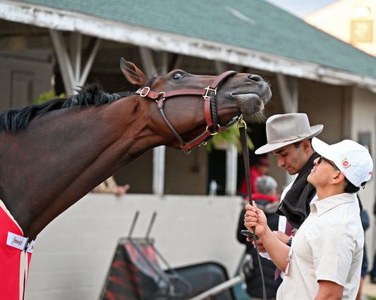 GOLDEN TEMPO - 050226 - Race 12 - CD  The Kentucky Derby G1- 152nd Running - Barn 03 - Coady Media - Kurtis Coady Photography