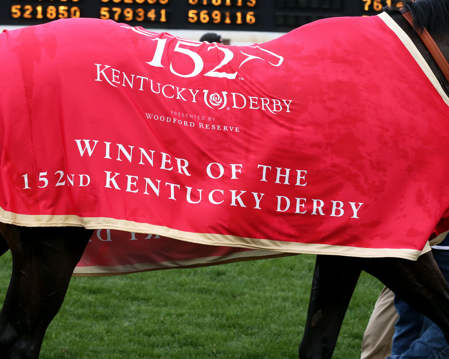 GOLDEN TEMPO - 050226 - Race 12 - CD  The Kentucky Derby G1 - 152nd Running - Blanket 01 - Coady Media - Kurtis Coady Photography