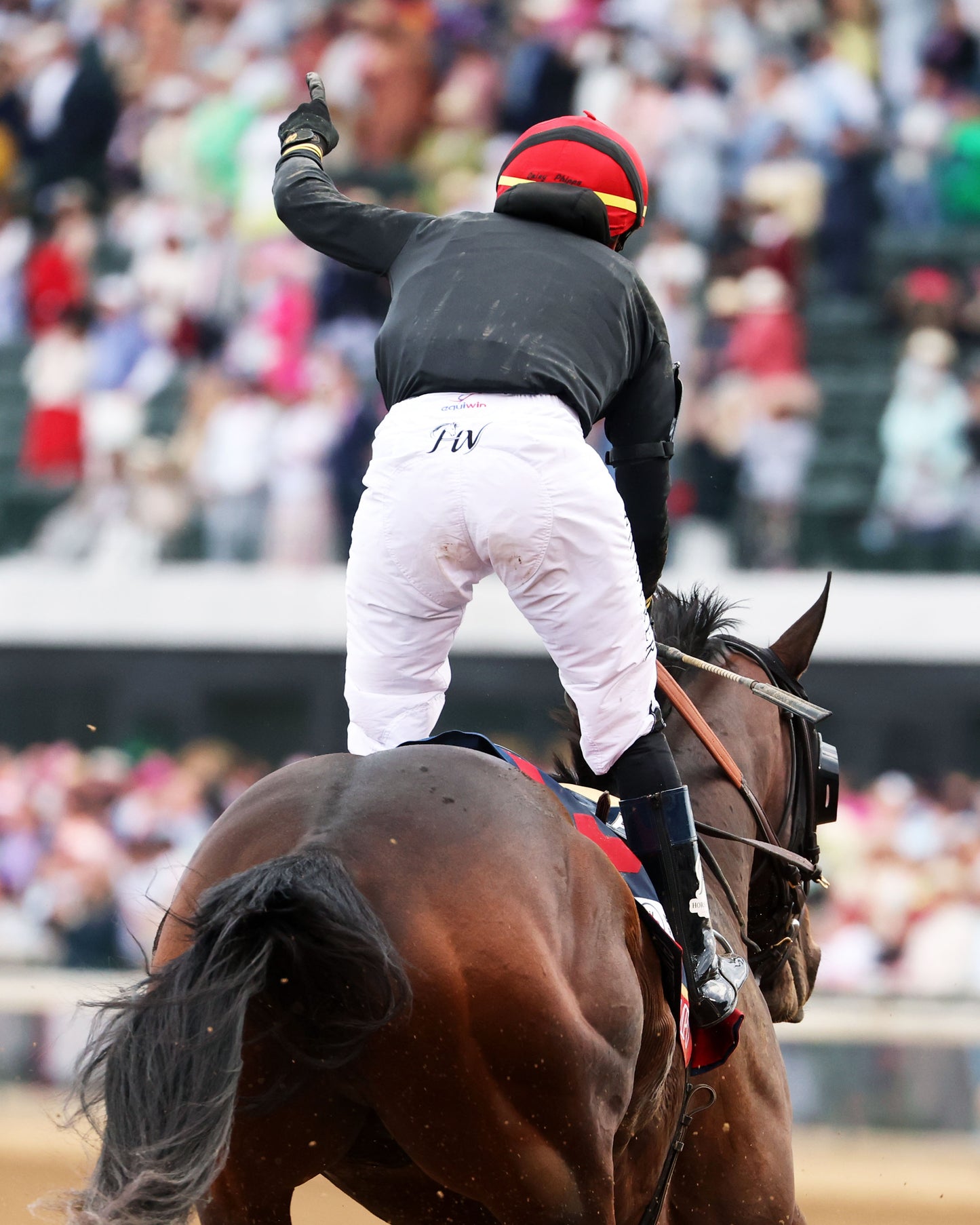 GOLDEN TEMPO - 050226 - Race 12 - CD  The Kentucky Derby G1- 152nd Running - Celebration 03 - Coady Media - Kurtis Coady Photography