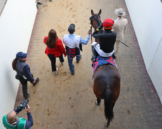 GOLDEN TEMPO - 050226 - Race 12 - CD  The Kentucky Derby G1- 152nd Running - Exit From Paddock 02 - Coady Media - Kurtis Coady Photography