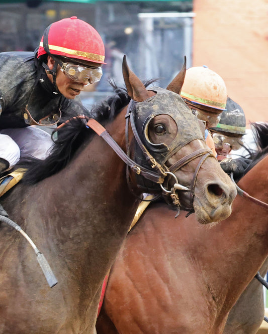 GOLDEN TEMPO - 050226 - Race 12 - CD  The Kentucky Derby G1- 152nd Running - Finish 07 - Coady Media - Kurtis Coady Photography
