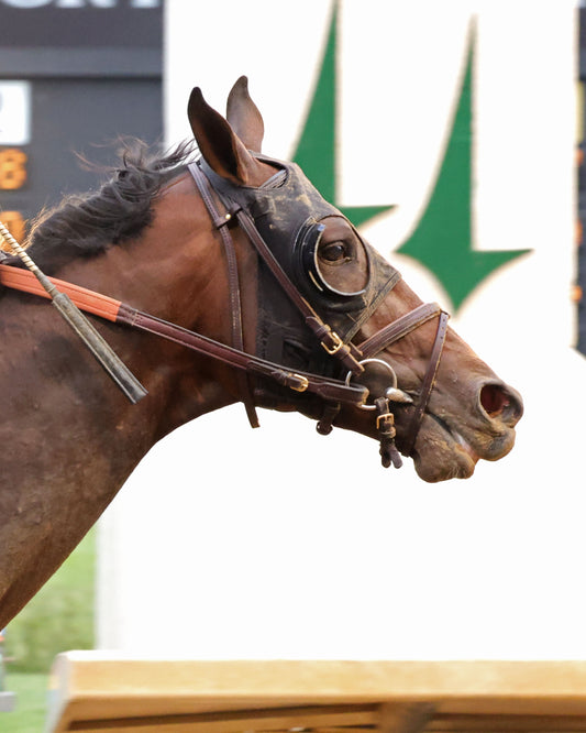 GOLDEN TEMPO - 050226 - Race 12 - CD  The Kentucky Derby G1- 152nd Running - Finish 08 - Coady Media - Kurtis Coady Photography