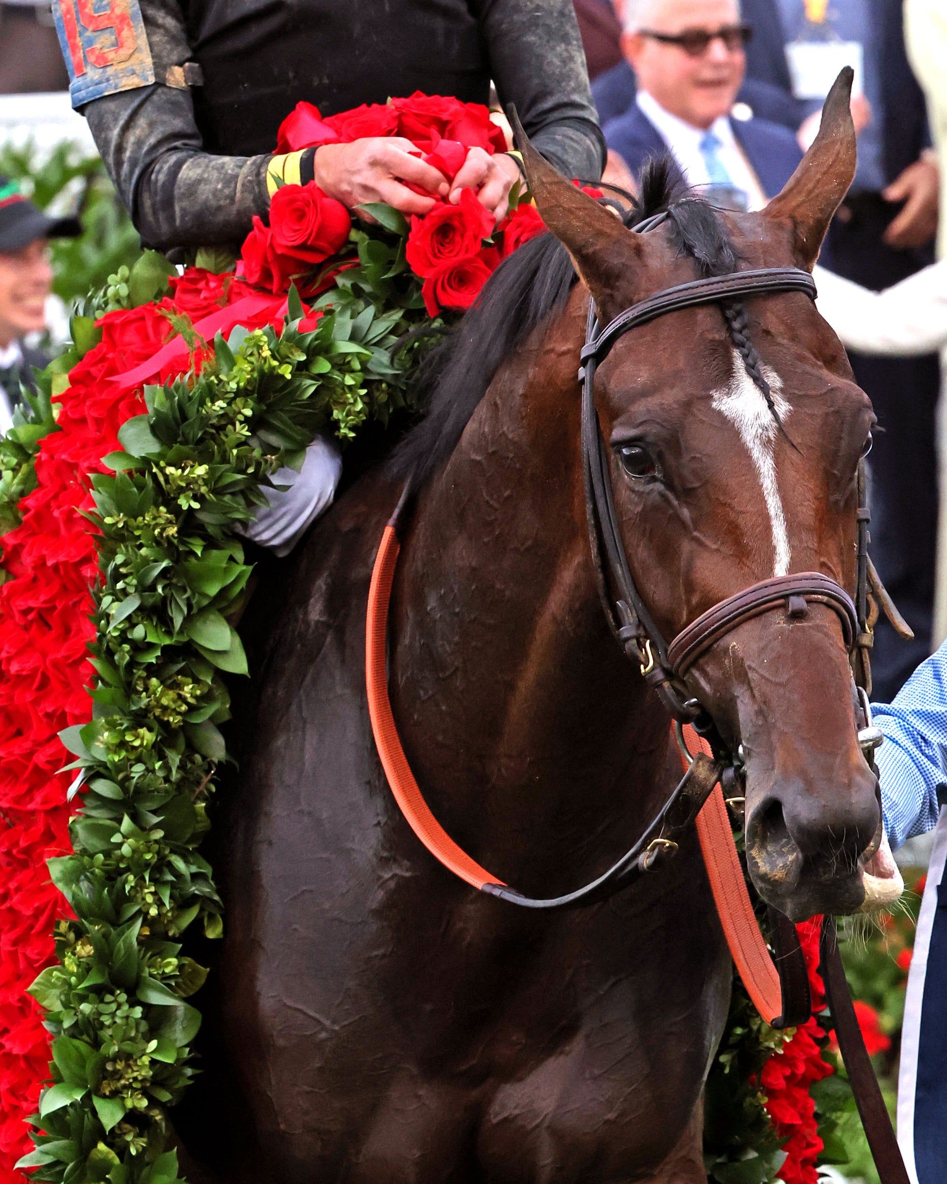 GOLDEN TEMPO - 050226 - Race 12 - CD  The Kentucky Derby G1- 152nd Running - Garland 01 - Coady Media - Kurtis Coady Photography