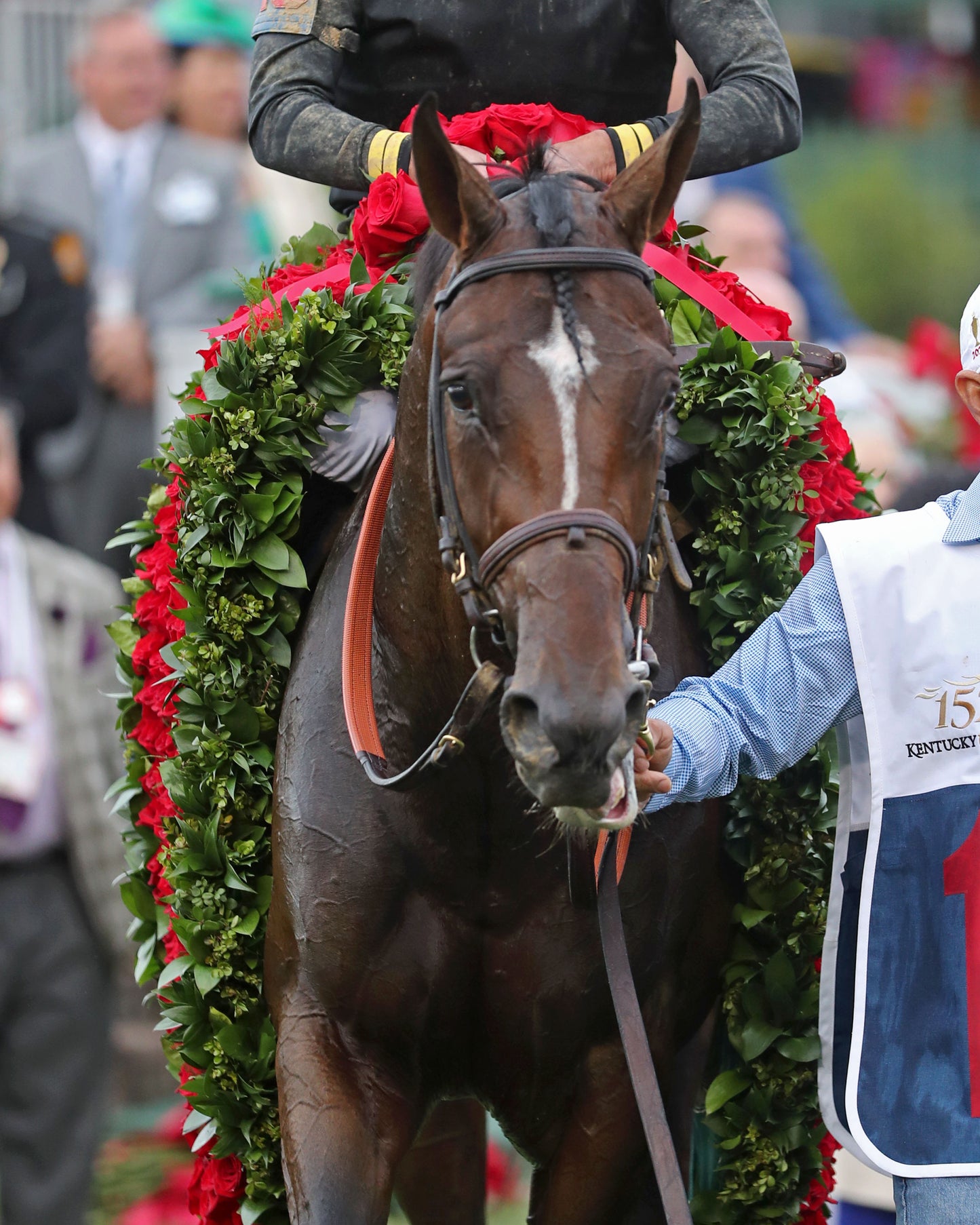 GOLDEN TEMPO - 050226 - Race 12 - CD  The Kentucky Derby G1- 152nd Running - Garland 02 - Coady Media - Kurtis Coady Photography