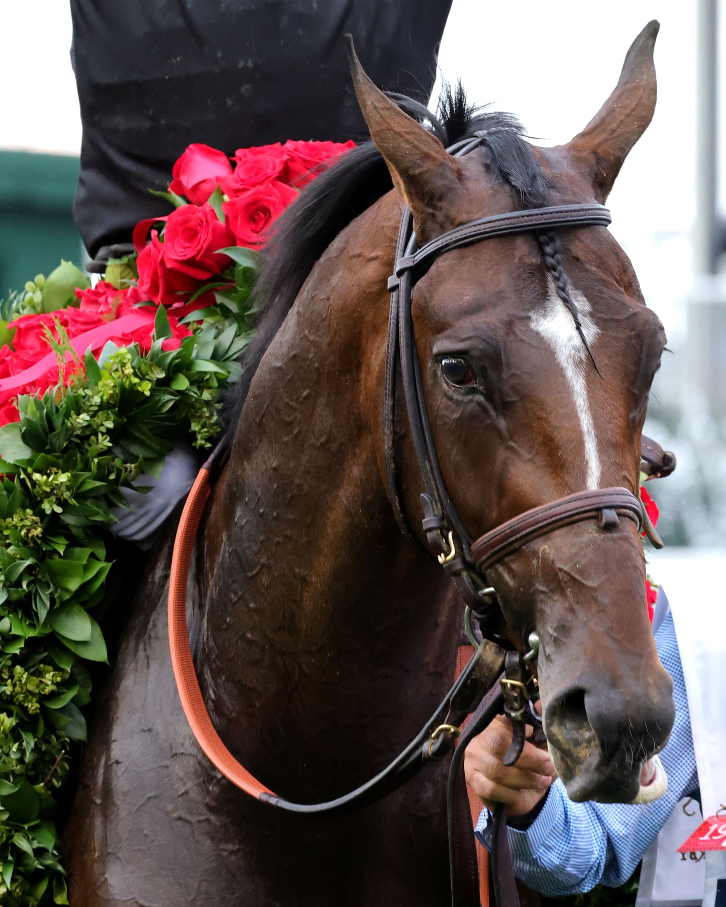 GOLDEN TEMPO - 050226 - Race 12 - CD  The Kentucky Derby G1- 152nd Running - Garland 04 - Coady Media - Kurtis Coady Photography
