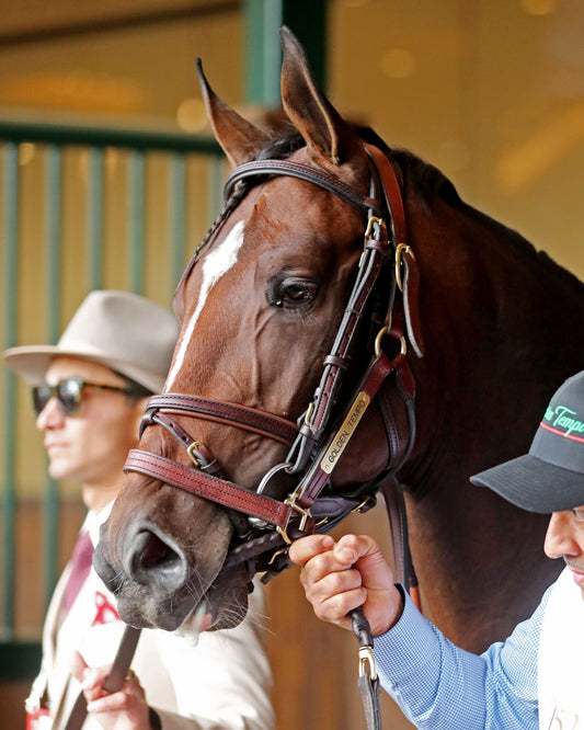 GOLDEN TEMPO - 050226 - Race 12 - CD  The Kentucky Derby G1- 152nd Running - Paddock 01 - Coady Media - Kurtis Coady Photography