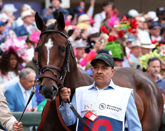 GOLDEN TEMPO - 050226 - Race 12 - CD  The Kentucky Derby G1 - 152nd Running - Paddock 05 - Coady Media - Kurtis Coady Photography