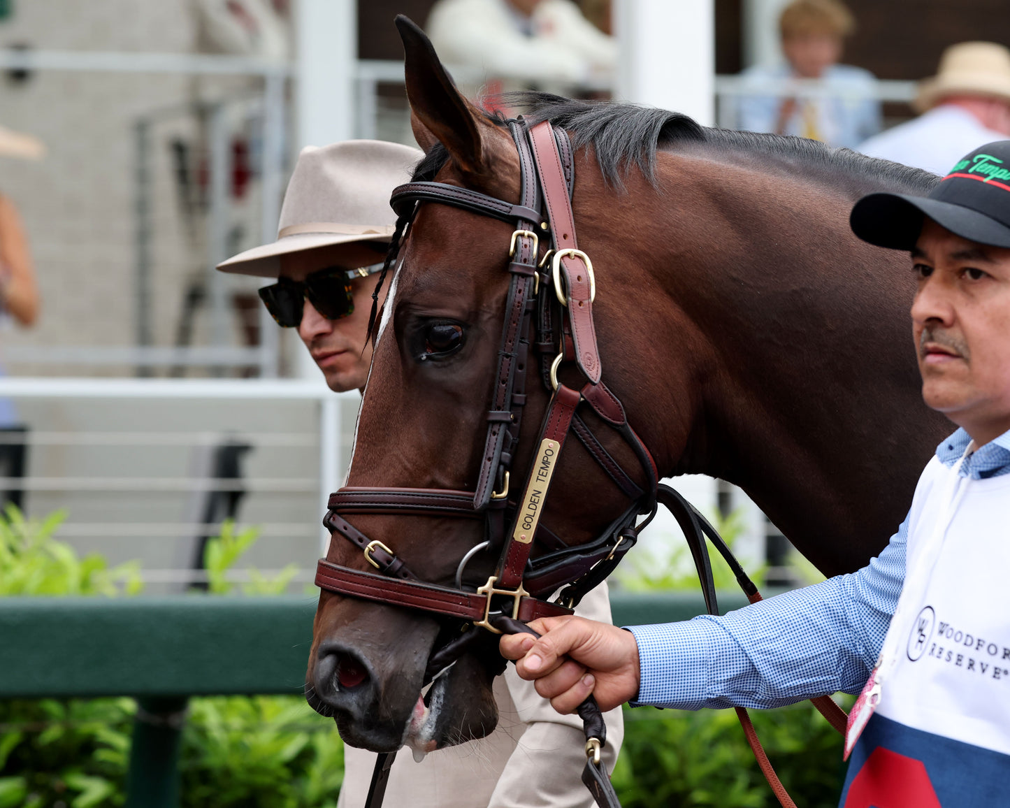 GOLDEN TEMPO - 050226 - Race 12 - CD  The Kentucky Derby G1 - 152nd Running - Paddock 09 - Coady Media - Kurtis Coady Photography
