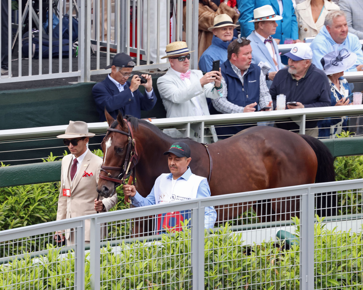 GOLDEN TEMPO - 050226 - Race 12 - CD  The Kentucky Derby G1 - 152nd Running - Paddock 12 - Coady Media - Kurtis Coady Photography