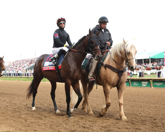 GOLDEN TEMPO - 050226 - Race 12 - CD  The Kentucky Derby G1- 152nd Running - Post Parade 04 - Coady Media - Kurtis Coady Photography