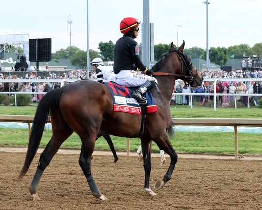 GOLDEN TEMPO - 050226 - Race 12 - CD  The Kentucky Derby G1 - 152nd Running - Post Parade 09 - Coady Media - Kurtis Coady Photography