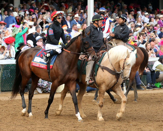 GOLDEN TEMPO - 050226 - Race 12 - CD  The Kentucky Derby G1 - 152nd Running - Post Parade 09 - Coady Media - Kurtis Coady Photography