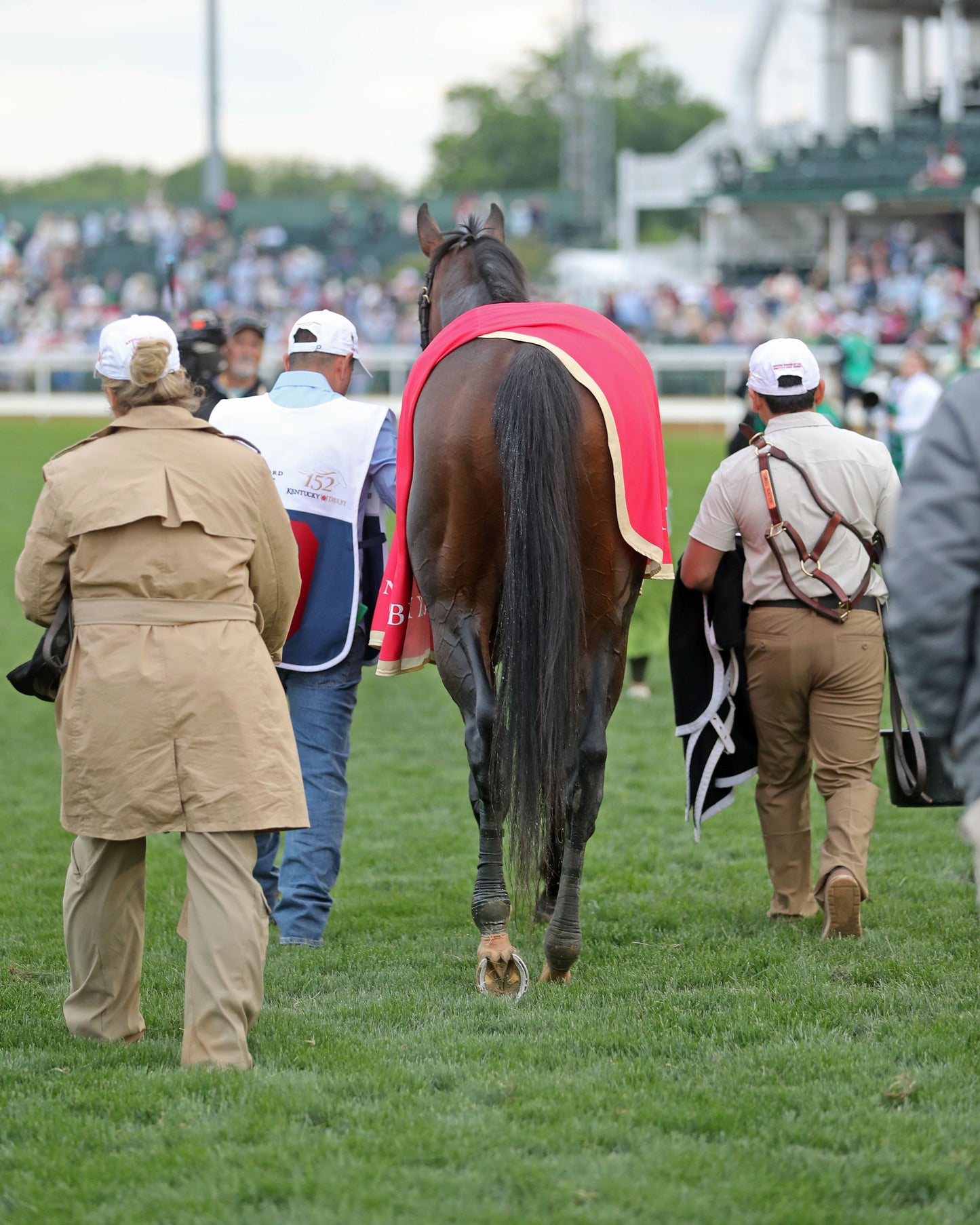 GOLDEN TEMPO - 050226 - Race 12 - CD  The Kentucky Derby G1- 152nd Running - Walk Back 01 - Coady Media - Kurtis Coady Photography