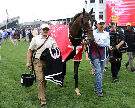 GOLDEN TEMPO - 050226 - Race 12 - CD  The Kentucky Derby G1 - 152nd Running - Walk Back 05 - Coady Media - Kurtis Coady Photography