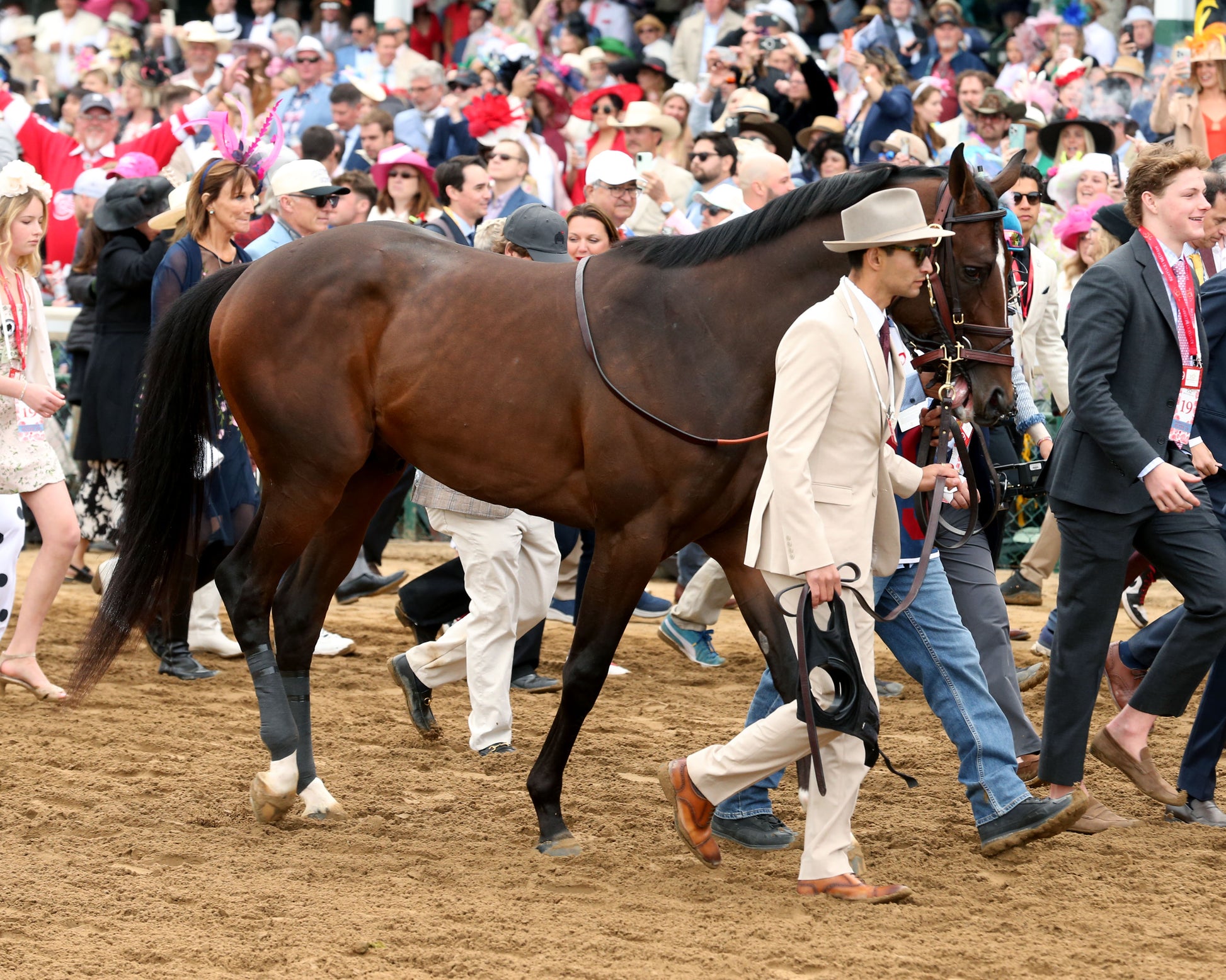 GOLDEN TEMPO - 050226 - Race 12 - CD  The Kentucky Derby G1 - 152nd Running - Walk Over 05 - Coady Media - Kurtis Coady Photography