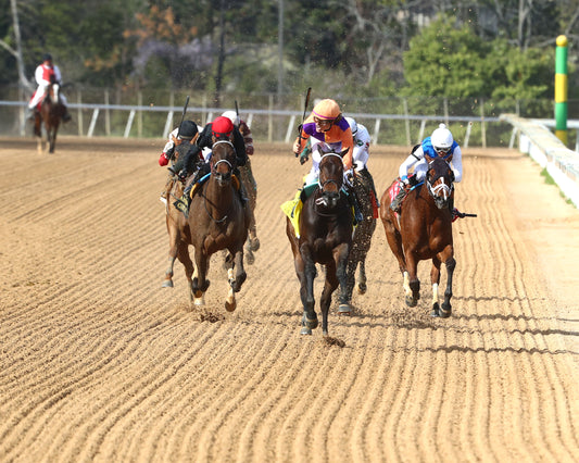 GOODALL - 031426 - Race 08 - OP  Purple Martin Stakes - Head On 01 - Coady Media - Kurtis Coady Photography