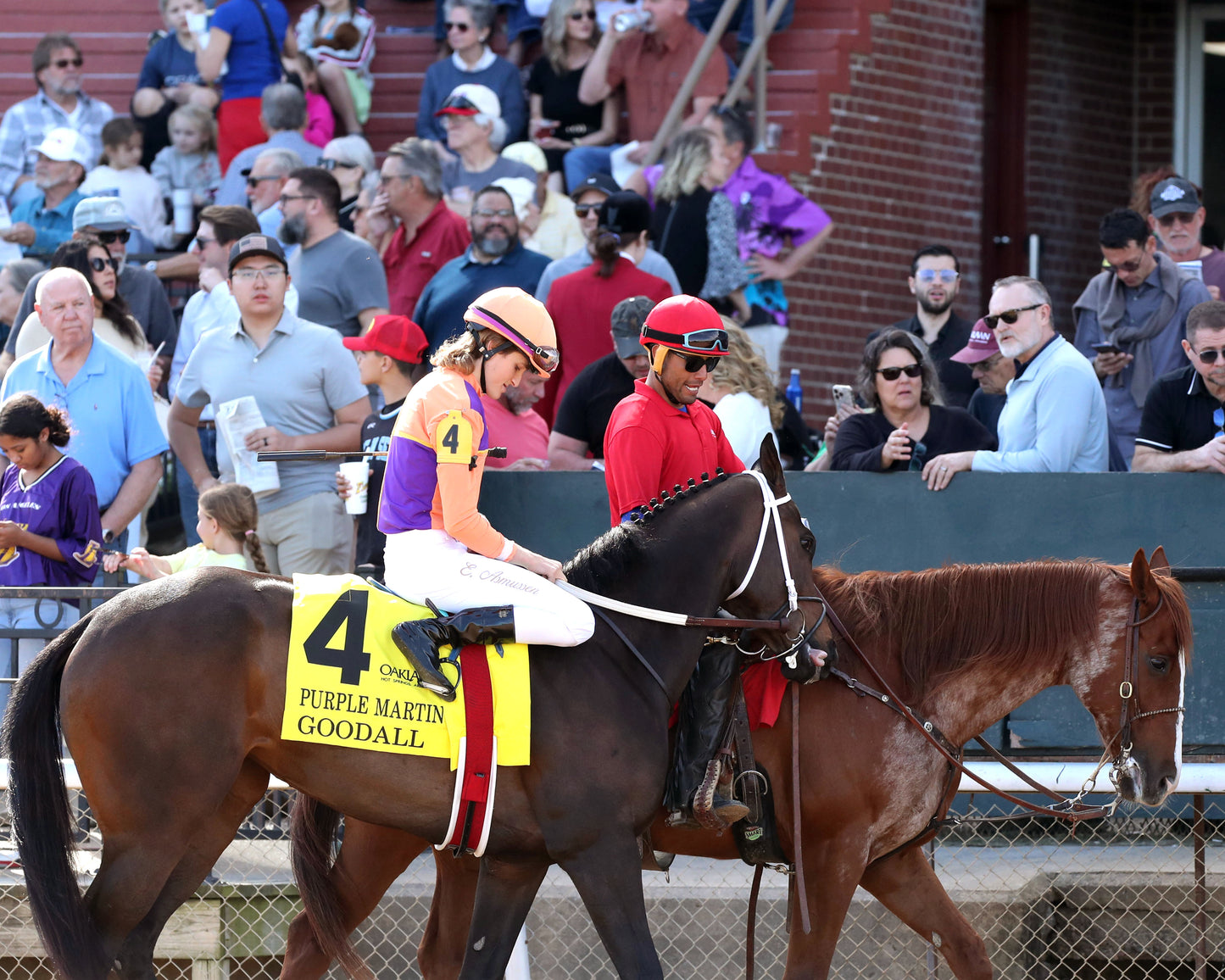 GOODALL - 031426 - Race 08 - OP  Purple Martin Stakes - Post Parade 02 - Coady Media - Kurtis Coady Photography