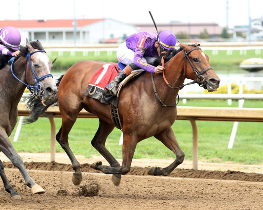 GRAND HARBOR - Hoosier Breeders Sophomore Handicap - 07-11-26 - R07 - Horseshoe Indiana - Finish 02 - Cady Courlardot