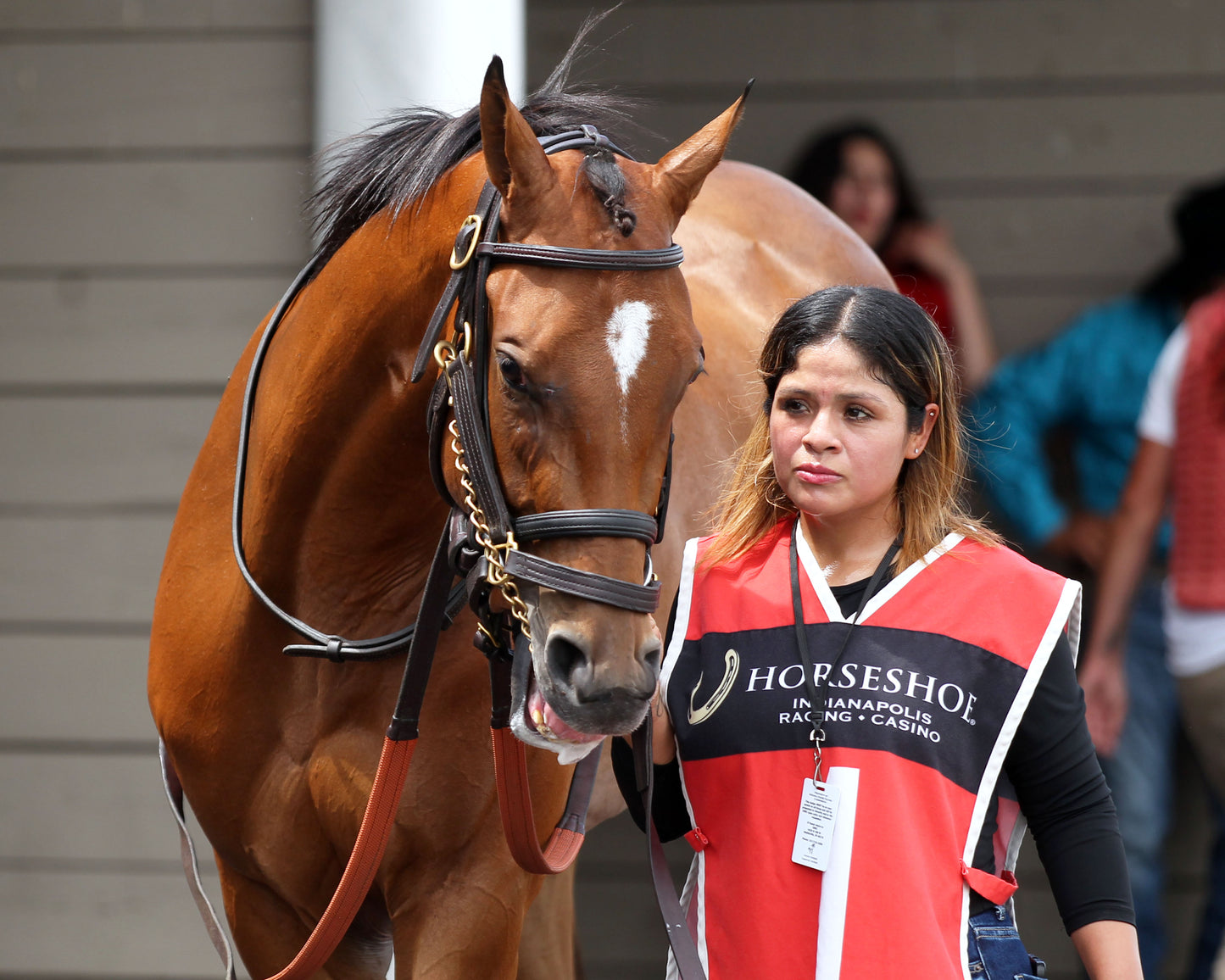 GRAND HARBOR - Hoosier Breeders Sophomore Handicap - 18th Running - 07-11-26 - R07 - Horseshoe Indiana - Paddock 01 - Casey Cable