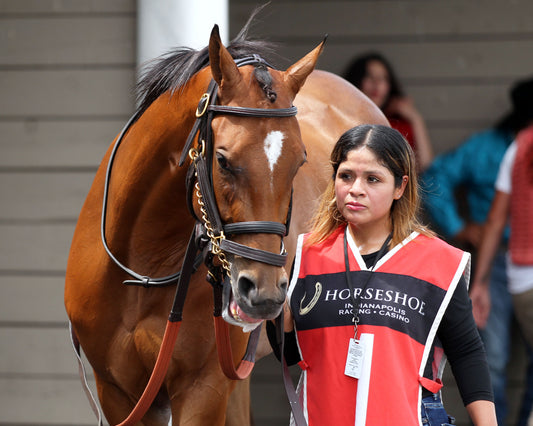 GRAND HARBOR - Hoosier Breeders Sophomore Handicap - 18th Running - 07-11-26 - R07 - Horseshoe Indiana - Paddock 01 - Casey Cable