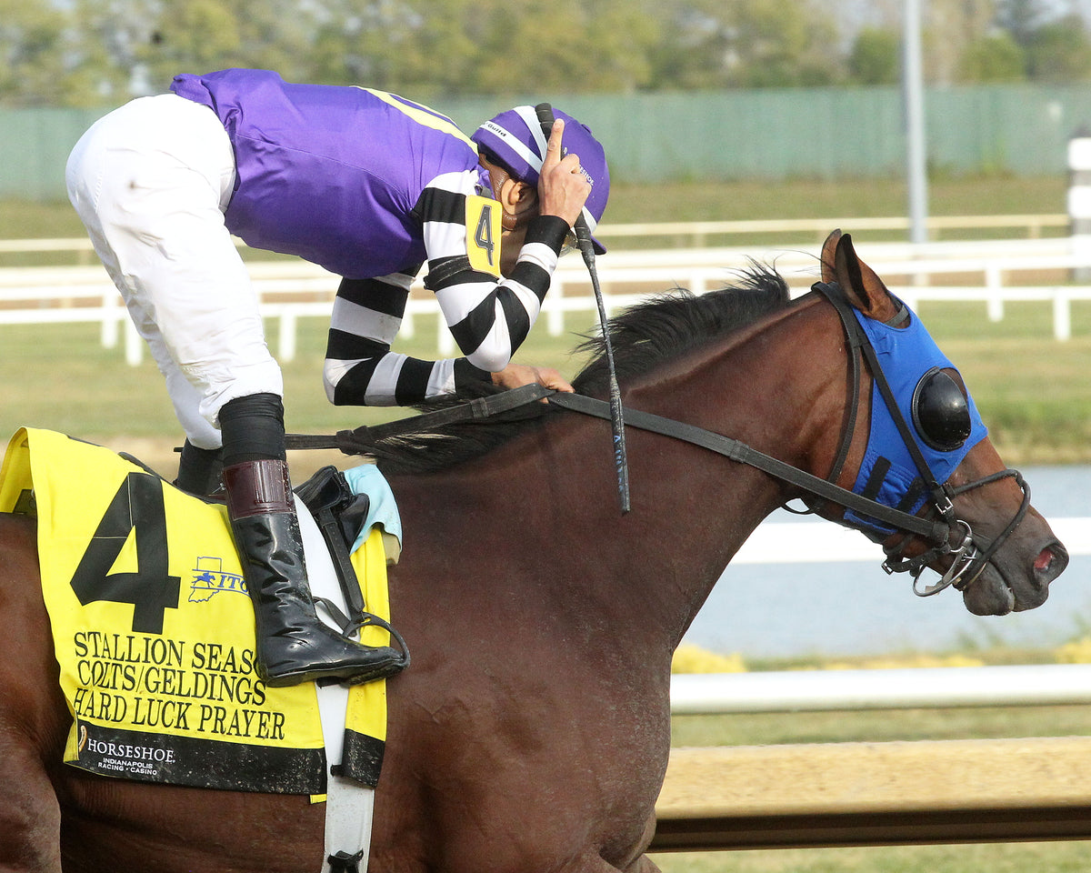 HARD LUCK PRAYER - ITOBA Stallion Season - 13th Running - 09-30-26 - R08 - Horseshoe Indiana - Celebration 01 - Casey Cable