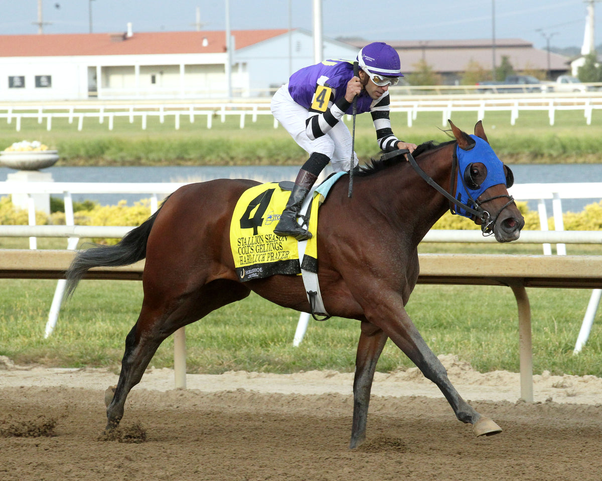 HARD LUCK PRAYER - ITOBA Stallion Season - 13th Running - 09-30-26 - R08 - Horseshoe Indiana - Finish 02 - Casey Cable