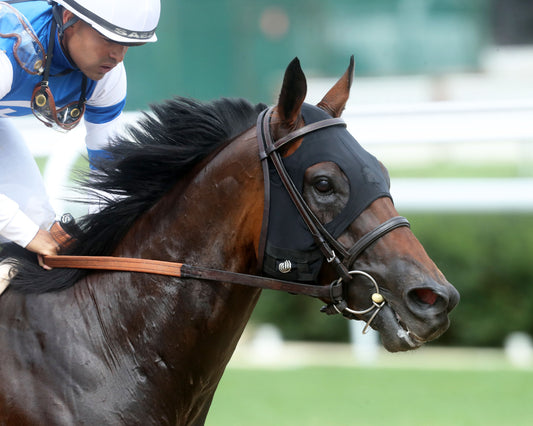 HARRODSBURG - The Bango G3 - 06-27-26 - R09 - CD  - Gallop Out 01
