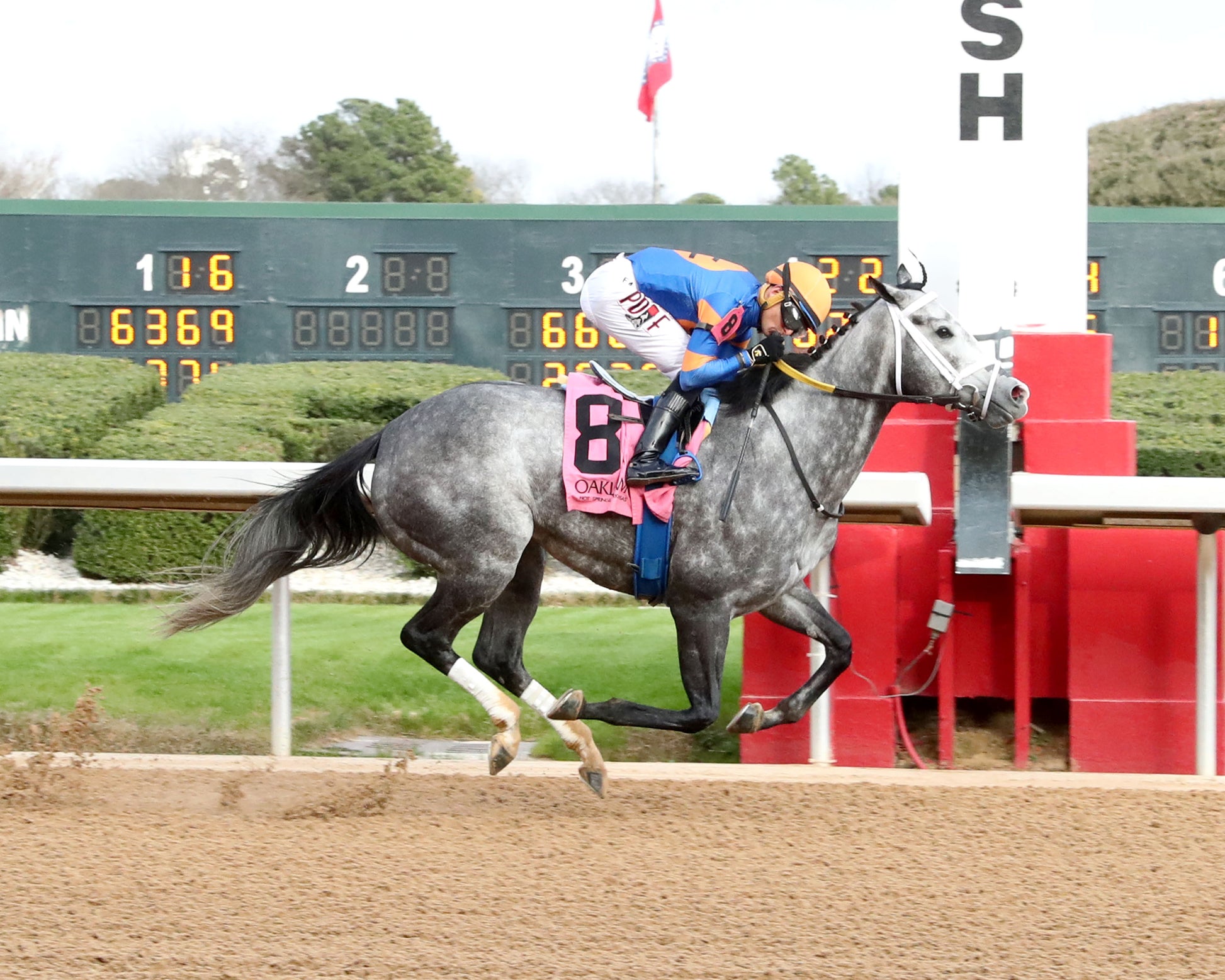 HAULIN ICE - Downthedustyroad Breeder's Stakes - 02-20-26 - R08 - OP - Finish 01 - Coady Media - Kurtis Coady Photography