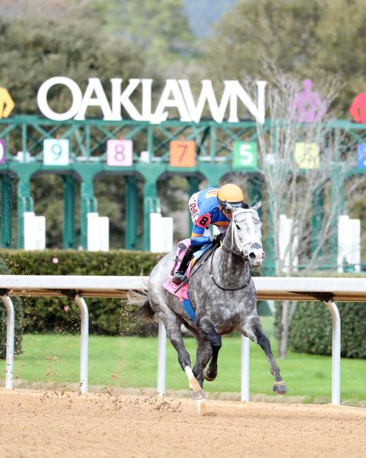 HAULIN ICE - Downthedustyroad Breeder's Stakes - 02-20-26 - R08 - OP - Finish 02 - Coady Media - Kurtis Coady Photography
