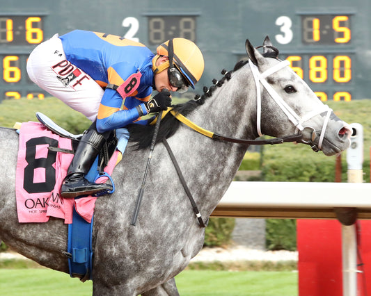 HAULIN ICE - Downthedustyroad Breeder's Stakes - 02-20-26 - R08 - OP - Finish 03 - Coady Media - Kurtis Coady Photography