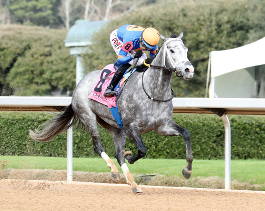HAULIN ICE - Downthedustyroad Breeder's Stakes - 02-20-26 - R08 - OP - Finish 04 - Coady Media - Kurtis Coady Photography
