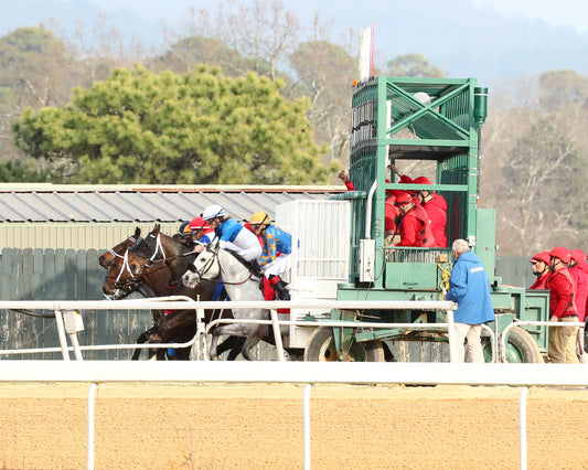 HAULIN ICE - Downthedustyroad Breeder's Stakes - 02-20-26 - R08 - OP - Start 01 - Coady Media - Kurtis Coady Photography