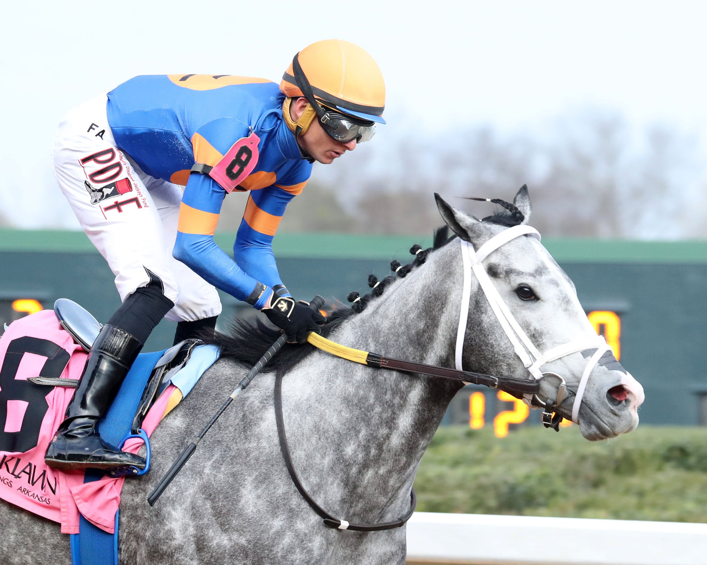 HAULIN ICE - Downthedustyroad Breeder's Stakes - 02-20-26 - R08 - OP - Tight Finish 01 - Coady Media - Kurtis Coady Photography