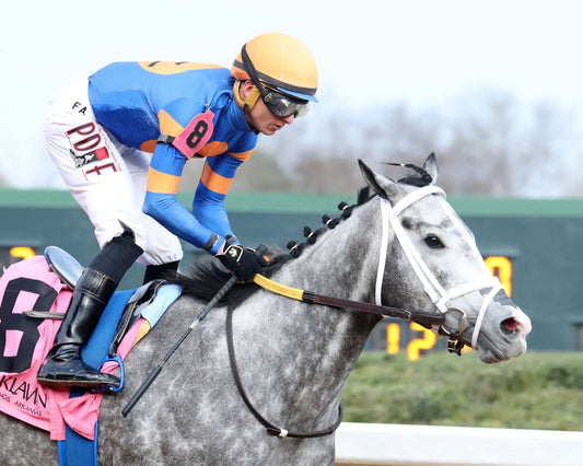 HAULIN ICE - Downthedustyroad Breeder's Stakes - 02-20-26 - R08 - OP - Tight Finish 01 - Coady Media - Kurtis Coady Photography