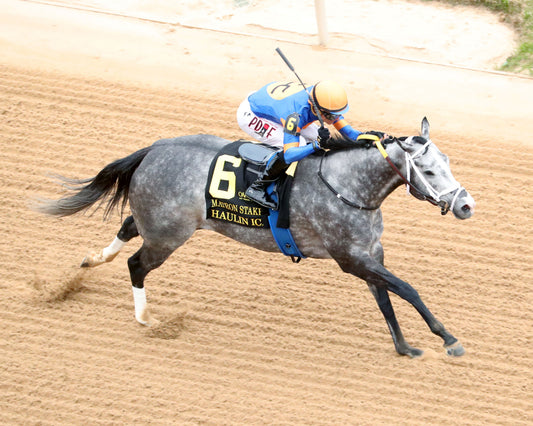 HAULIN ICE - Matron Stakes - 03-27-26 - R09 - OP - Aerial Finish 01 - Coady Media - Kurtis Coady Photography