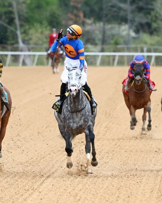 HAULIN ICE - Matron Stakes - 03-27-26 - R09 - OP - Celebration 01 - Coady Media - Kurtis Coady Photography