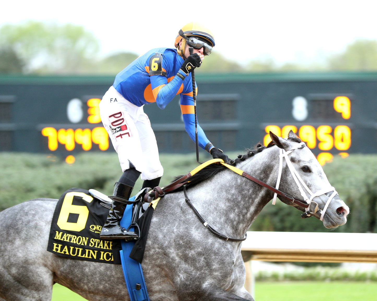 HAULIN ICE - Matron Stakes - 03-27-26 - R09 - OP - Celebration 02 - Coady Media - Kurtis Coady Photography