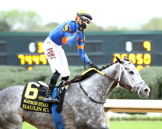 HAULIN ICE - Matron Stakes - 03-27-26 - R09 - OP - Celebration 02 - Coady Media - Kurtis Coady Photography